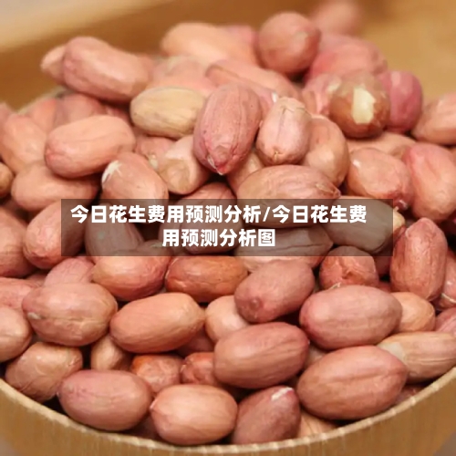 今日花生费用预测分析/今日花生费用预测分析图
