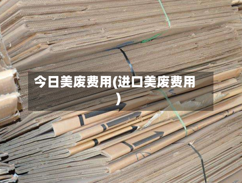 今日美废费用(进口美废费用)-第2张图片