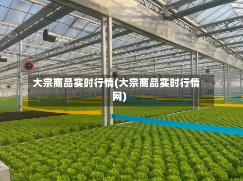 大宗商品实时行情(大宗商品实时行情网)-第2张图片