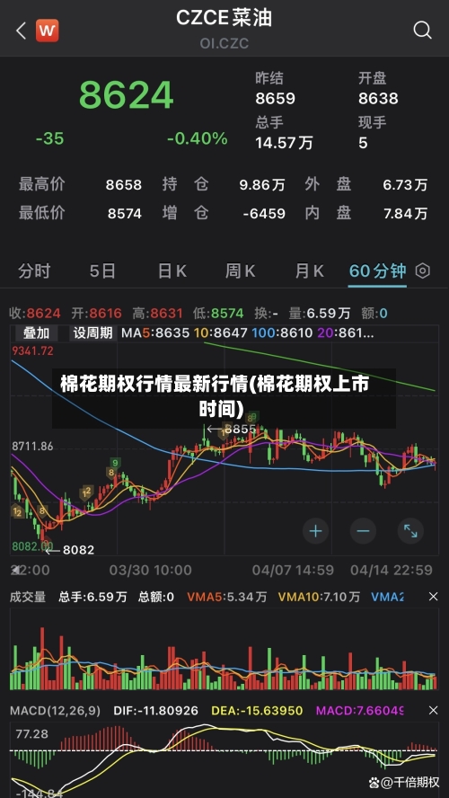 棉花期权行情最新行情(棉花期权上市时间)