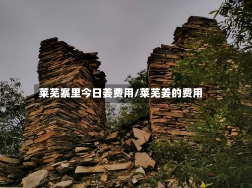 莱芜寨里今日姜费用/莱芜姜的费用-第3张图片