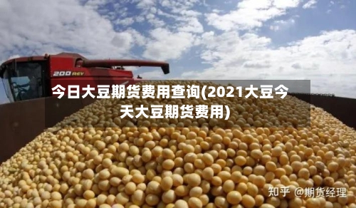 今日大豆期货费用查询(2021大豆今天大豆期货费用)-第2张图片