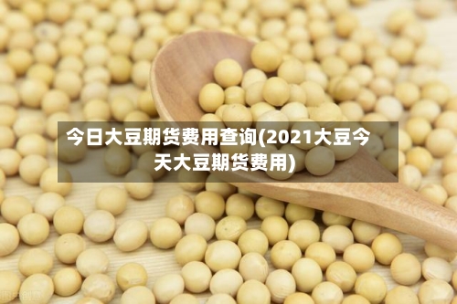 今日大豆期货费用查询(2021大豆今天大豆期货费用)-第3张图片