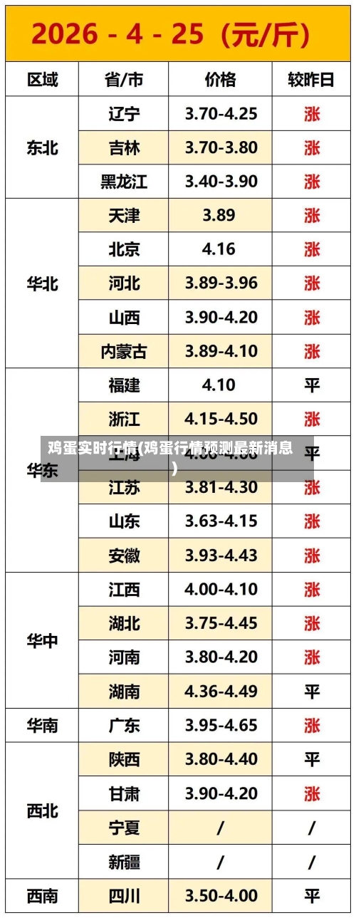 鸡蛋实时行情(鸡蛋行情预测最新消息)