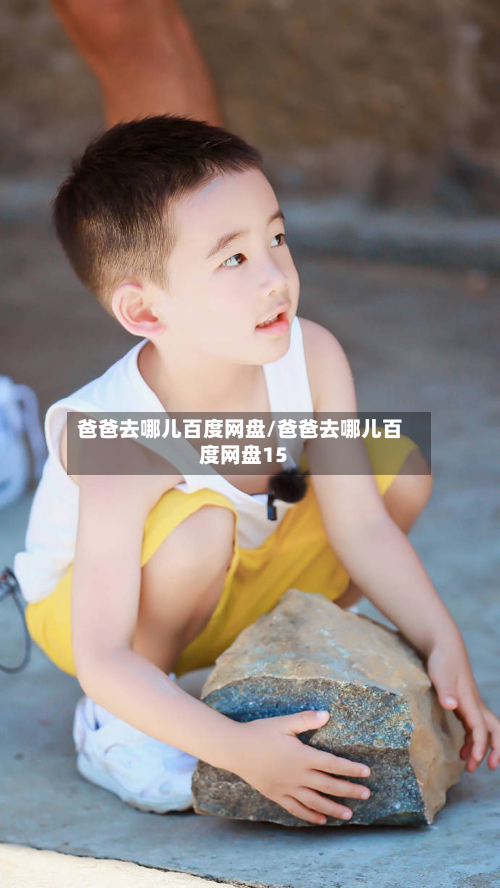 爸爸去哪儿百度网盘/爸爸去哪儿百度网盘15-第2张图片