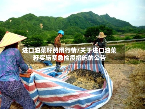 进口油菜籽费用行情/关于进口油菜籽实施紧急检疫措施的公告-第2张图片