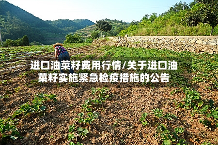 进口油菜籽费用行情/关于进口油菜籽实施紧急检疫措施的公告-第3张图片
