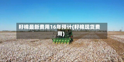 籽棉最新费用16年预计(籽棉现货费用)