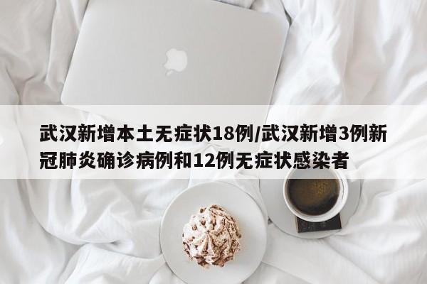武汉新增本土无症状18例/武汉新增3例新冠肺炎确诊病例和12例无症状感染者