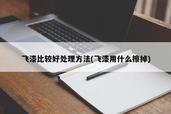 飞漆比较好处理方法(飞漆用什么擦掉)