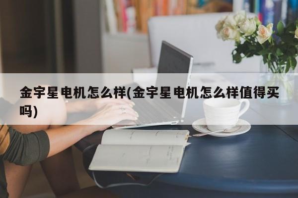 金宇星电机怎么样(金宇星电机怎么样值得买吗)